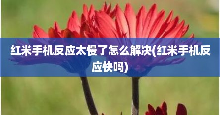 红米手机反应太慢了怎么解决(红米手机反应快吗)