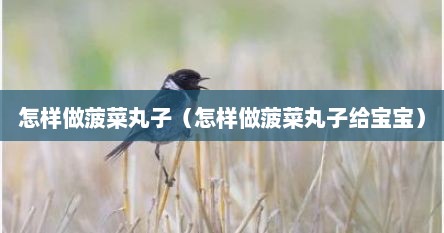 怎样做菠菜丸子（怎样做菠菜丸子给宝宝）