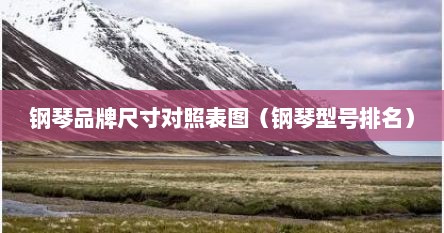 钢琴品牌尺寸对照表图（钢琴型号排名）