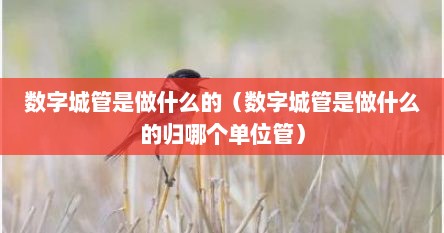 数字城管是做什么的（数字城管是做什么的归哪个单位管）