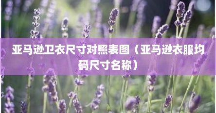 亚马逊卫衣尺寸对照表图（亚马逊衣服均码尺寸名称）