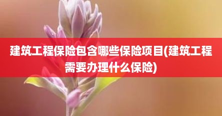 建筑工程保险包含哪些保险项目(建筑工程需要办理什么保险)
