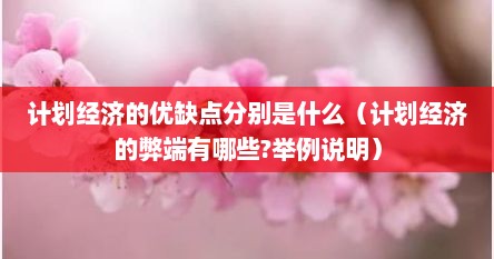 计划经济的优缺点分别是什么（计划经济的弊端有哪些?举例说明）