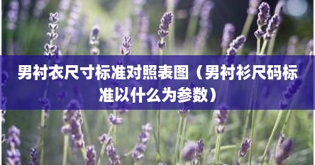 男衬衣尺寸标准对照表图（男衬衫尺码标准以什么为参数）