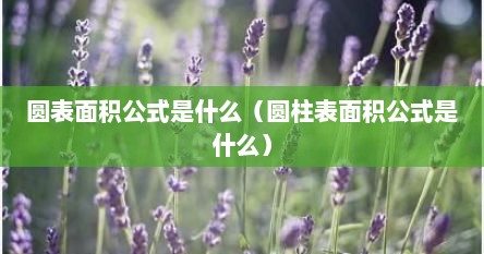 圆表面积公式是什么（圆柱表面积公式是什么）