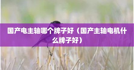 国产电主轴哪个牌子好（国产主轴电机什么牌子好）