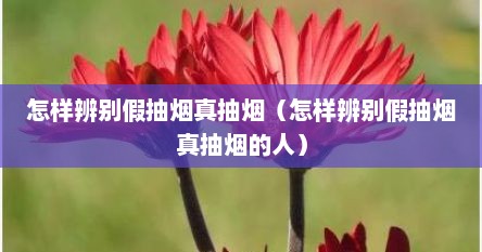 怎样辨别假抽烟真抽烟（怎样辨别假抽烟真抽烟的人）