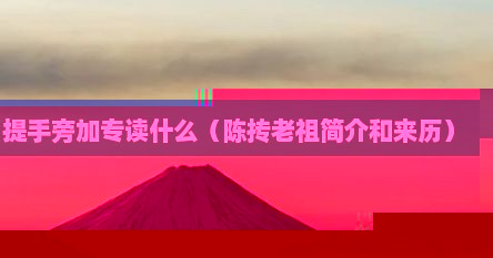 提手旁加专读什么（陈抟老祖简介和来历）