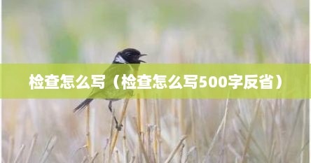 检查怎么写（检查怎么写500字反省）
