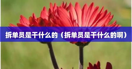 拆单员是干什么的（拆单员是干什么的啊）