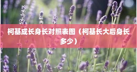 柯基成长身长对照表图（柯基长大后身长多少）