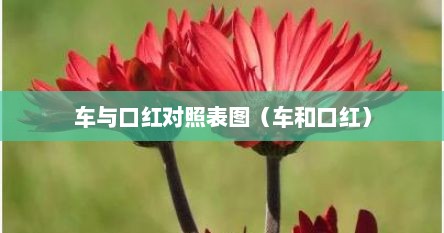 车与口红对照表图（车和口红）