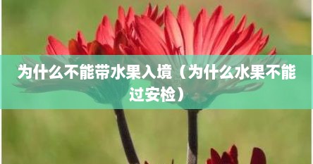 为什么不能带水果入境（为什么水果不能过安检）