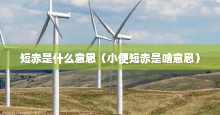 短赤是什么意思（小便短赤是啥意思）