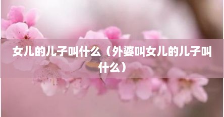女儿的儿子叫什么（外婆叫女儿的儿子叫什么）