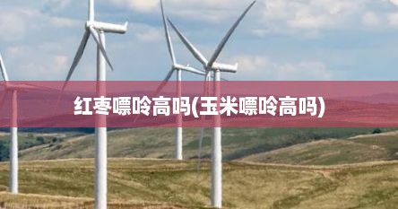 红枣嘌呤高吗(玉米嘌呤高吗)