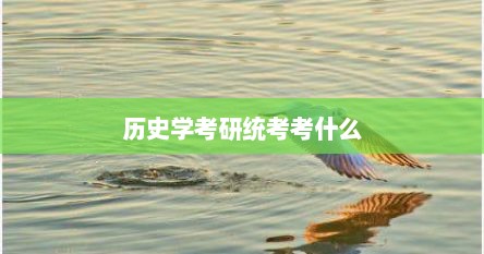 历史学考研统考考什么
