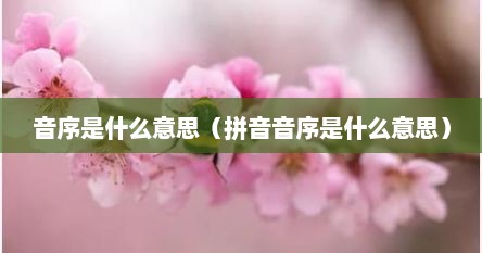 音序是什么意思（拼音音序是什么意思）