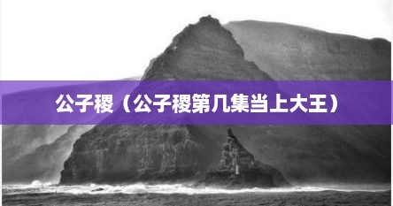 公子稷什么时候当大王（公子稷真实历史）