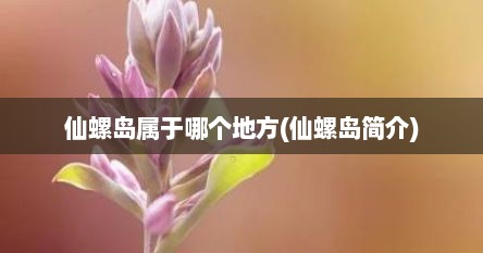 仙螺岛属于哪个地方(仙螺岛简介)