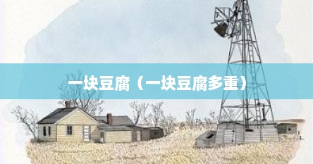 一块豆腐（一块豆腐多重）