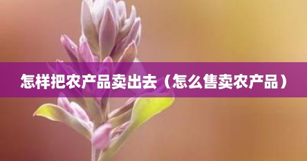 怎么把农产品卖给批发市场（怎么把农产品推销出去）