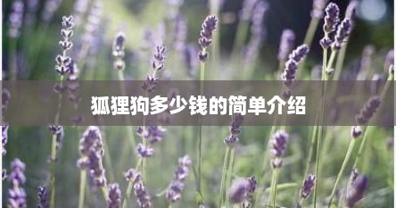 狐狸狗多少钱的简单介绍