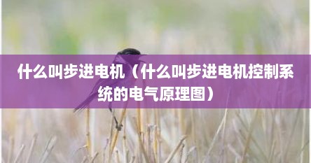 什么叫步进电机（什么叫步进电机控制系统的电气原理图）