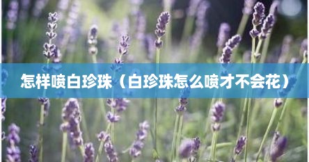怎样喷白珍珠（白珍珠怎么喷才不会花）
