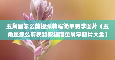 五角星怎么剪视频教程简单易学图片（五角星怎么剪视频教程简单易学图片大全）