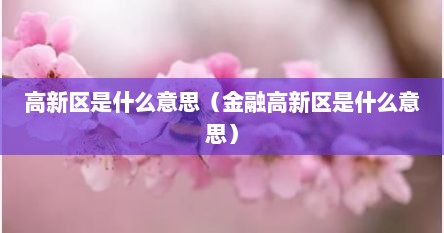 高新区是什么意思（金融高新区是什么意思）