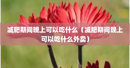 减肥期间晚上可以吃什么（减肥期间晚上可以吃什么外卖）