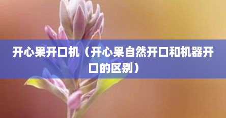 开心果开口机（开心果自然开口和机器开口的区别）