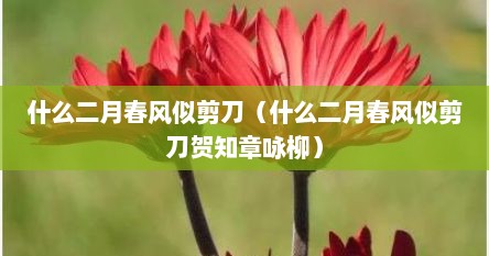 什么二月春风似剪刀（什么二月春风似剪刀贺知章咏柳）