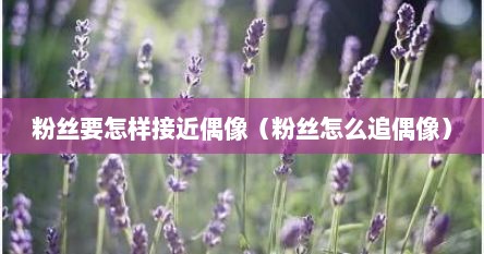 粉丝要怎样接近偶像（粉丝怎么追偶像）