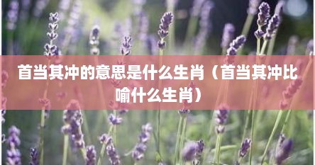 首当其冲的意思是什么生肖（首当其冲比喻什么生肖）