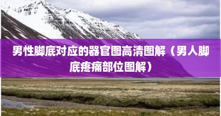 男性脚底对应的器官图高清图解（男人脚底疼痛部位图解）