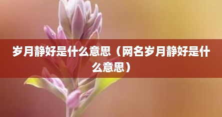 岁月静好是什么意思（网名岁月静好是什么意思）