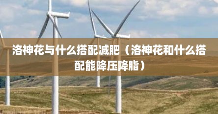 洛神花与什么搭配减肥（洛神花和什么搭配能降压降脂）