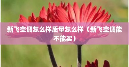 新飞空调怎么样质量怎么样（新飞空调能不能买）