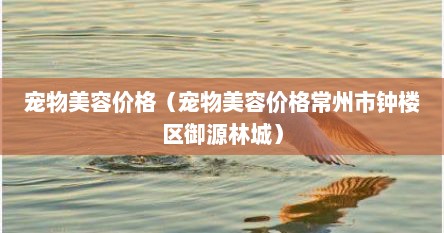 宠物美容价格（宠物美容价格常州市钟楼区御源林城）