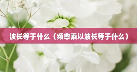 波长等于什么（频率乘以波长等于什么）