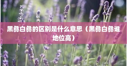 黑彝白彝的区别是什么意思（黑彝白彝谁地位高）