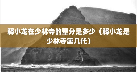 释小龙在少林寺的辈分是多少（释小龙是少林寺第几代）