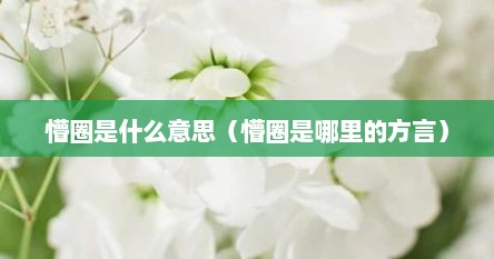 懵圈是什么意思（懵圈是哪里的方言）