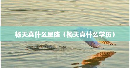 杨天真什么星座（杨天真什么学历）