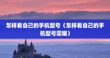 怎样看自己的手机型号（怎样看自己的手机型号荣耀）