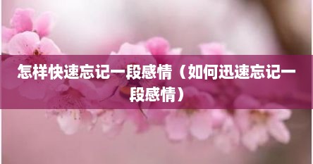 怎样快速忘记一段感情（如何迅速忘记一段感情）