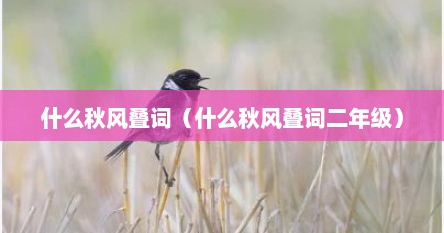 什么秋风叠词（什么秋风叠词二年级）