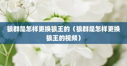 狼群是怎样更换狼王的（狼群是怎样更换狼王的视频）